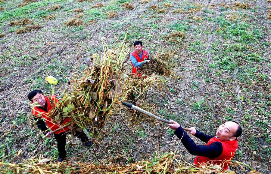 �h�T־Ը�ߎ���������ퟟ���ۿ͑����Nֲ����������M���ո���S���\�����g����ꖟ��ݹ��D