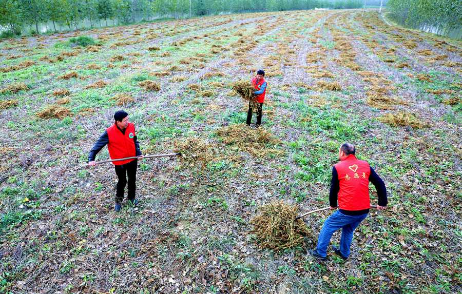 �h�T־Ը�ߎ�������(ch��ng)��ퟟ���ۿ͑����Nֲ����������M(j��n)���ո���S���\(y��n)�����g�����(y��ng)���ݹ��D