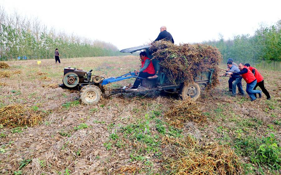 �h�T־Ը�ߎ���������ퟟ���ۿ͑����Nֲ����������M(j��n)���ո���S���\�����g����ꖟ��ݹ��D 