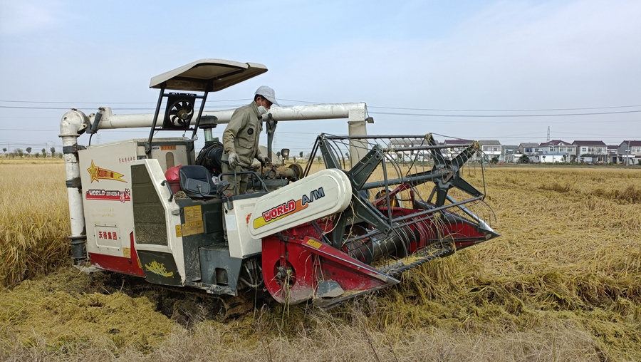 �����л����^(q��)ɽ�(y��ng)�ֵ��Ϟ���Nֲ��ǧ�����K��̡��㵾�M(j��n)���˳��������_(k��i)��ո ���l(w��i)�l(w��i)�z