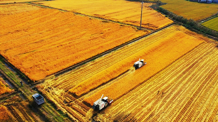 �����л����^(q��)ɽꖽֵ��Ϟ���Nֲ��ǧ�����K��̡��㵾�M���˳����ڣ��_��ո���ʽ��z