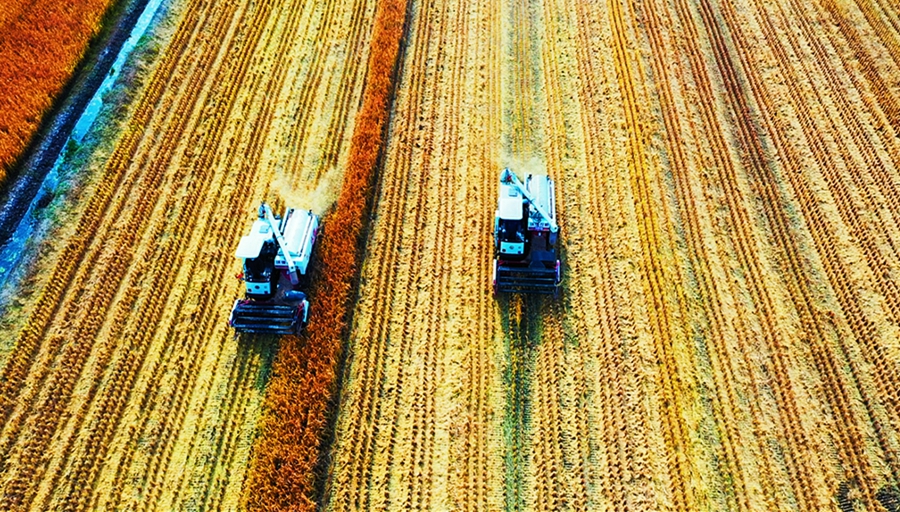 �����л����^(q��)ɽ�(y��ng)�ֵ��Ϟ���Nֲ��ǧ�����K��̡��㵾�M(j��n)���˳��������_(k��i)��ո��� ���l(w��i)�l(w��i)�z