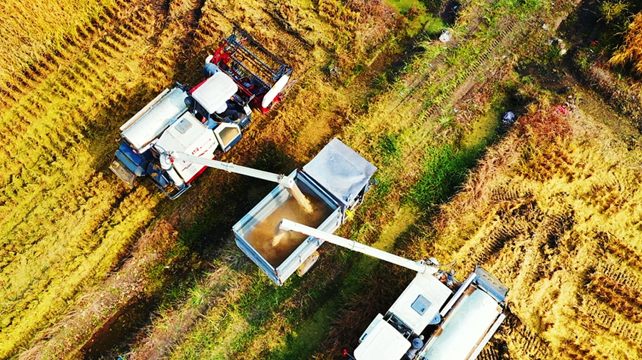 �����л����^(q��)ɽ�(y��ng)�ֵ��Ϟ���Nֲ��ǧ�����K��̡��㵾�M(j��n)���˳��������_��ո������ʽ��z