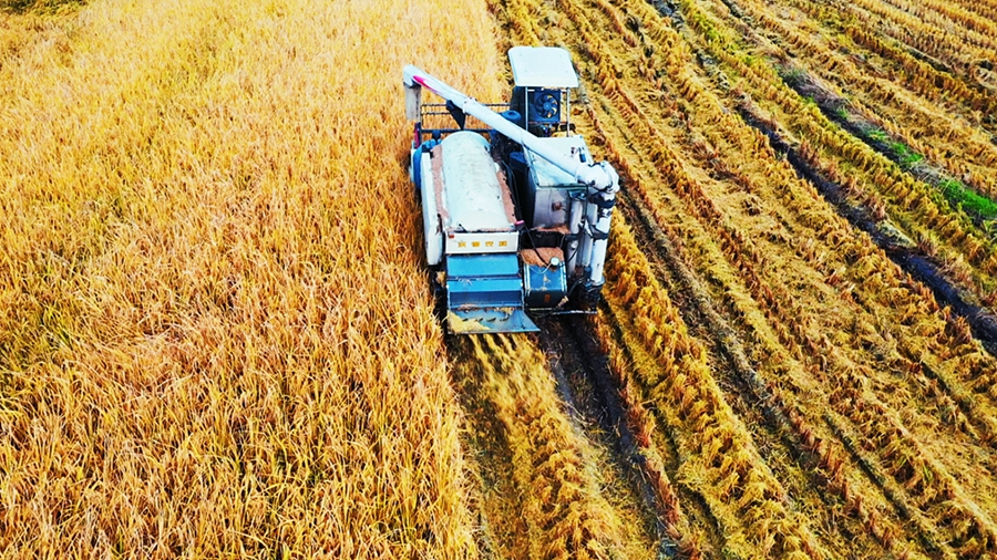 �����л����^(q��)ɽꖽֵ��Ϟ���Nֲ��ǧ�����K��̡��㵾�M(j��n)���˳��������_��ո��� ���l(w��i)�l(w��i)�z