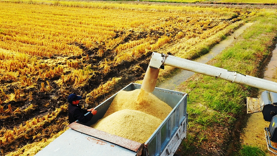 �����л����^(q��)ɽꖽֵ��Ϟ���Nֲ��ǧ�����K��̡��㵾�M(j��n)���˳��������_��ո������ʽ��z