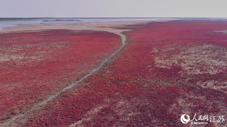 �}��Ⱦ�t�˞�Ϳ������W(w��ng)ӛ�� ������z