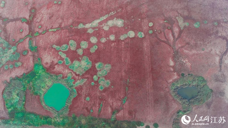 �l��������ϣ���һ�K�׷Q���t��̺�����}��ݵ�������W �R�c�c�z