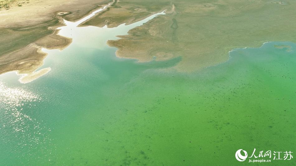 ꖹ��µėl�������������W(w��ng) �R�c�c�z