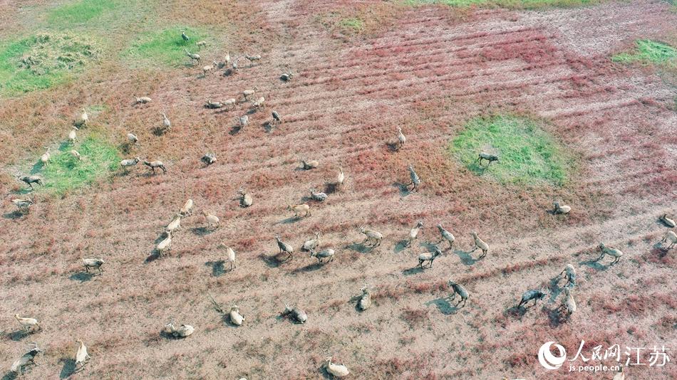 ��؞���¹�ṩ�����õ�����h(hu��n)��������W(w��ng)ӛ�� ������z