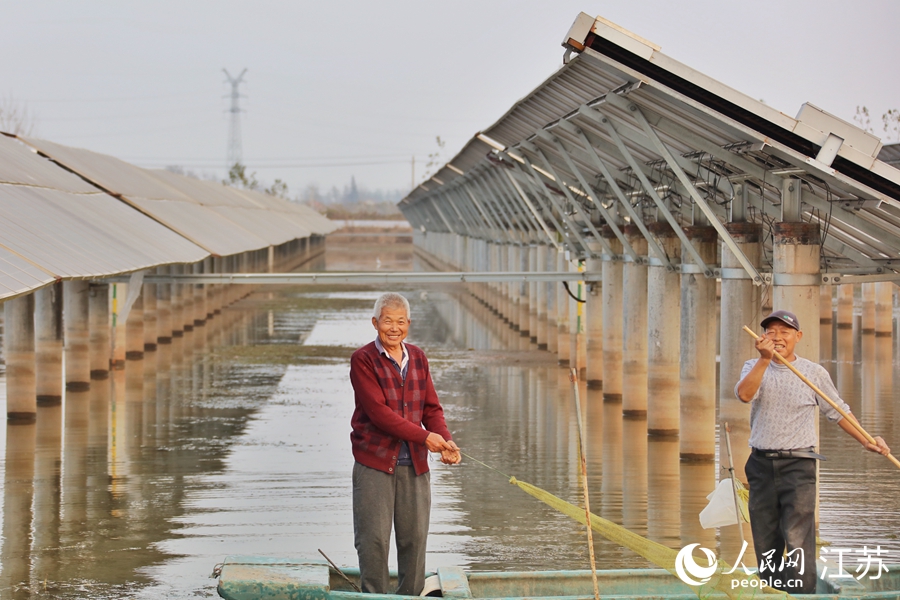 �O�����ڸ����h�Ĺ���O�����ơ� ����W(w��ng) �R�c�c�z