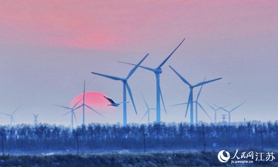 ���������£�һֻ���B�w�^������W(w��ng) �R�c�c�z