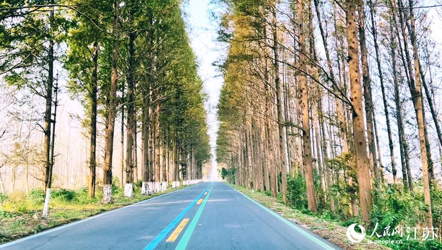 �ɰ��ĳ������l���������˲������C������W(w��ng)ӛ�� ������z