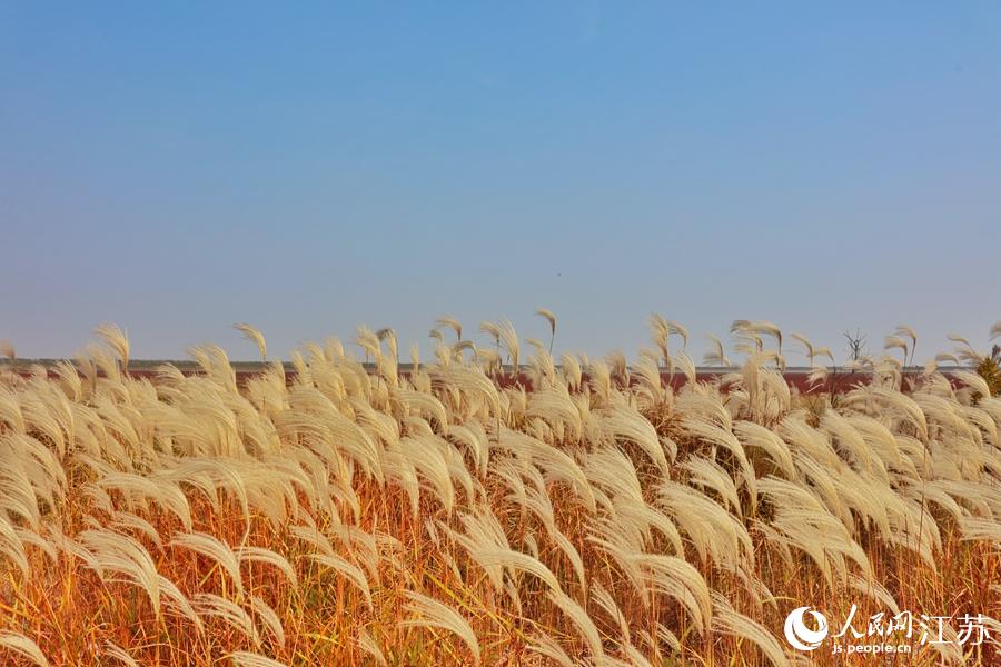 ��Ϳ�ϵ��JȔʎ���Ǫ�(d��)��һ��������W(w��ng) �R�c�c�z