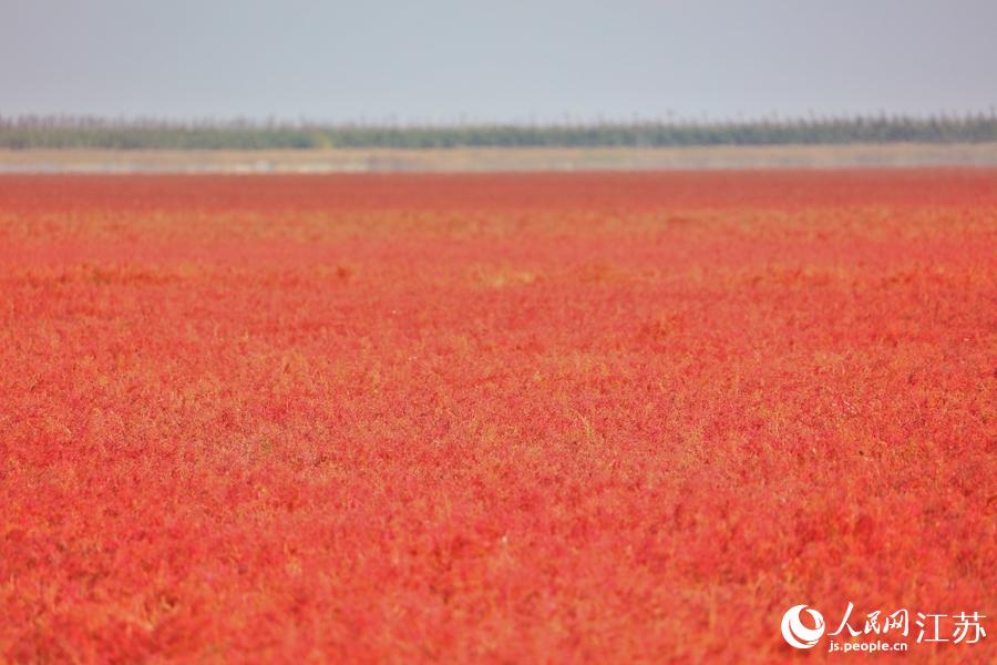 �����}��������c�Y���С�ջ�������W(w��ng)ӛ�� ������z