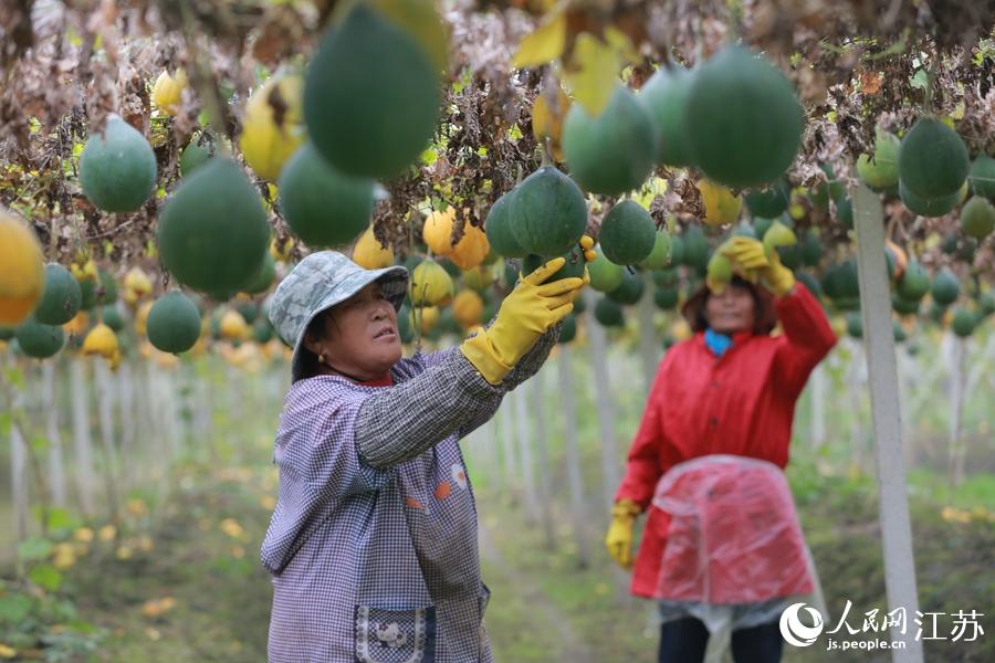 ���˂����ڲ�ժ���V������W(w��ng) ������z