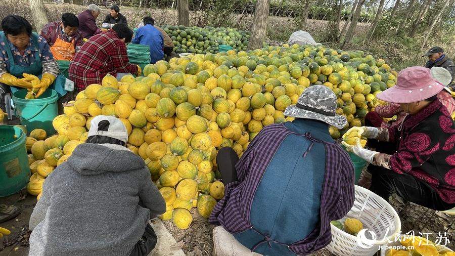 ���˂�����ȡ���V��������W(w��ng) ������z