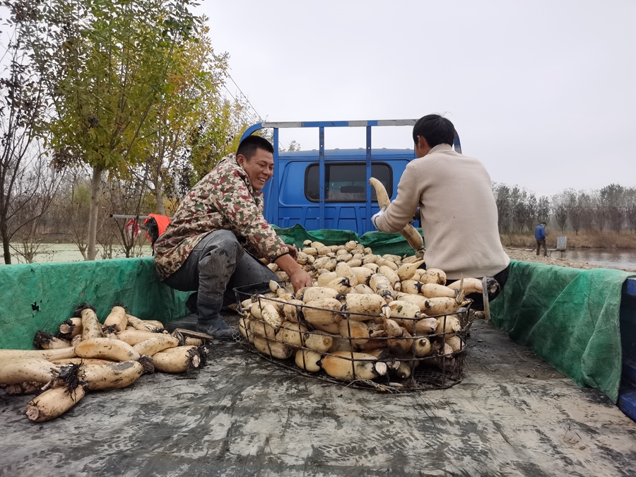 �r(n��ng)�����ɏź���淽�z