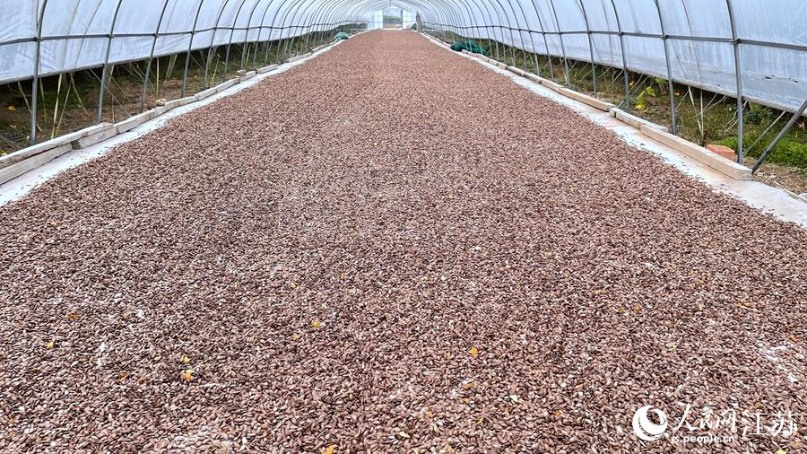 ��������Ĺ��V��������W(w��ng) ������z