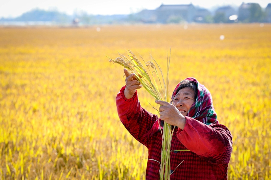 �����ֵ��L�Ǵ�ˮ��ӭ���S���������ֵ����D