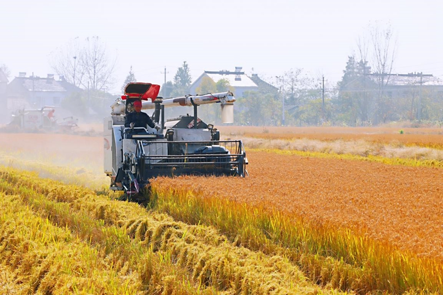 �ո�C(j��)�ڵ�������ش����������ֵ����D