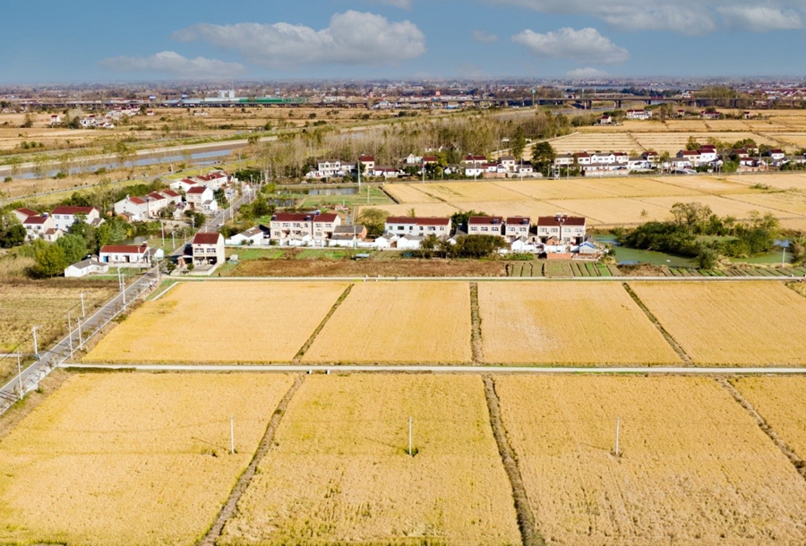 ��K���r(n��ng)�ﱻ�g���ɽ�ɫ�ķ���������ֵ����D