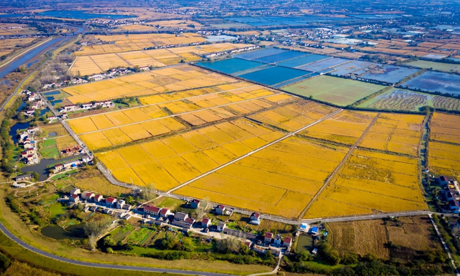 3000���ߘ�(bi��o)��(zh��n)�r(n��ng)���Ŀ�������ֵ����D