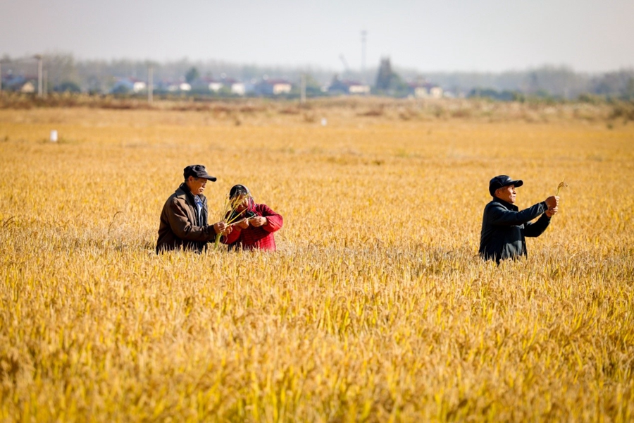 �r(n��ng)���ڡ�ϣ������Ұ�ϡ��������ֵ����D