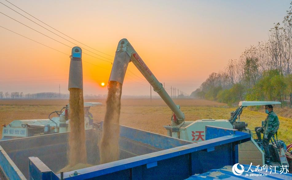 �ո�C(j��)�ڵ��������I(y��)�����B�A�z