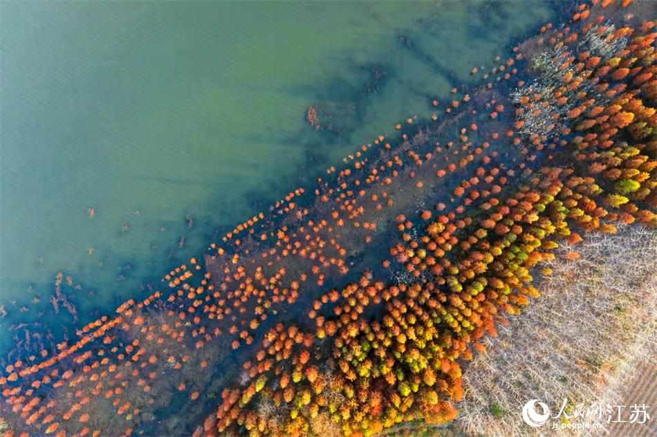 ���յĽ��K������Ȫ���ʬF(xi��n)�r�G��ɫ������(g��u)��һ�����������B(t��i)�����������o�����z