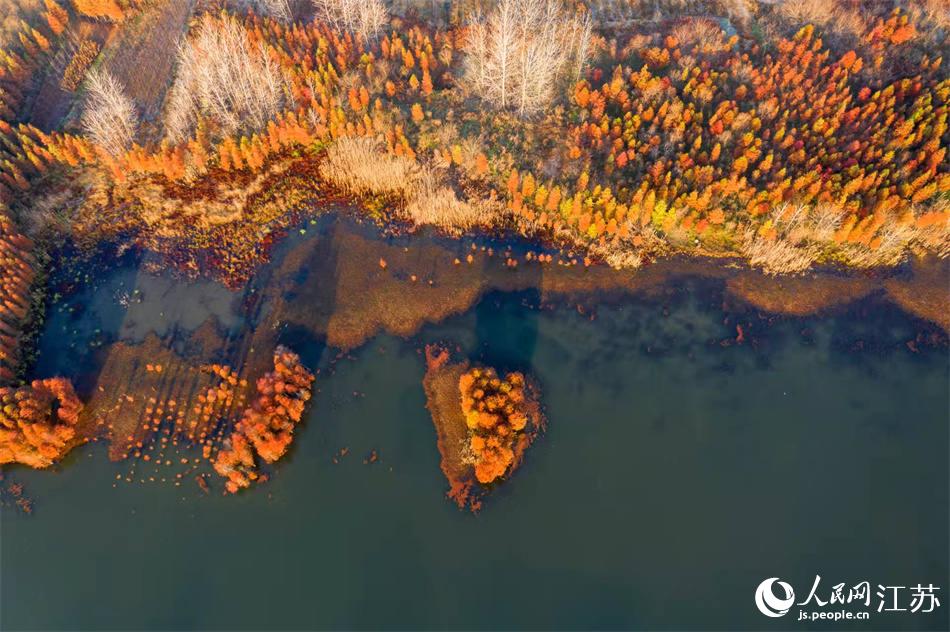 �ߔ̺�ɫ�L�Ͷ��ծ������o(j��)�����z