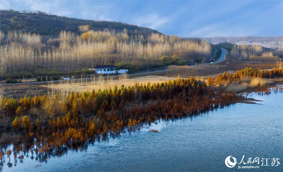 ����������Ȫ�����o(j��)�����z