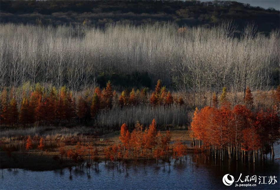 �tɼ��ˮ��ӳ��Ȥ���o(j��)�����z