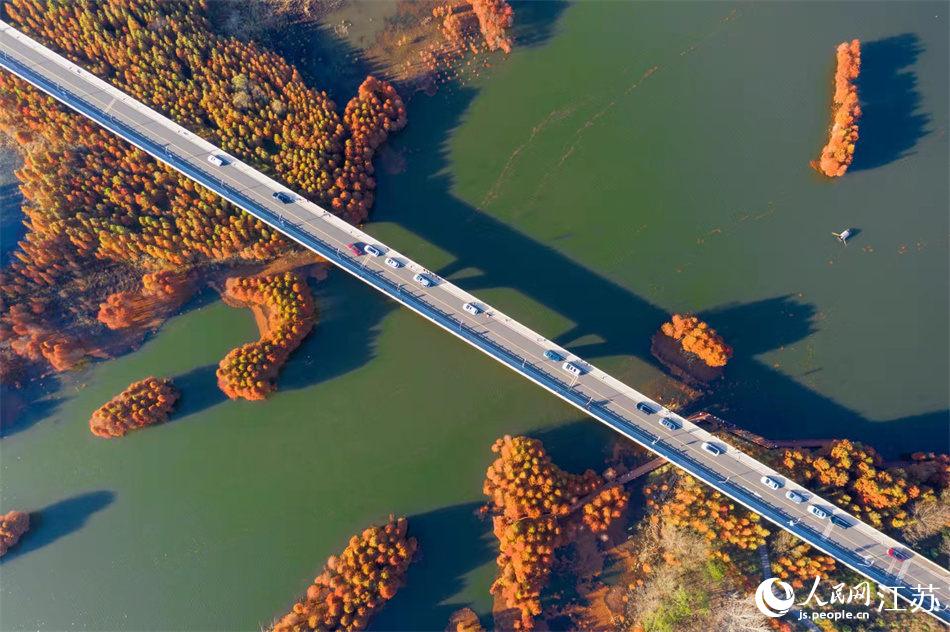 ���Ľ��K������Ȫ���������o�����z