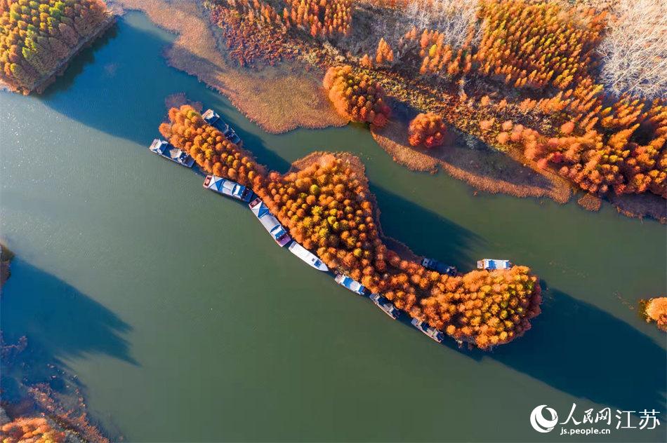 ��Ȫ�����^(q��)�ȼtɼ�B�d��Ƭ����ˮ�̲�ʎ�����γɡ�ˮ��ɭ�֡��Ī����������o�����z