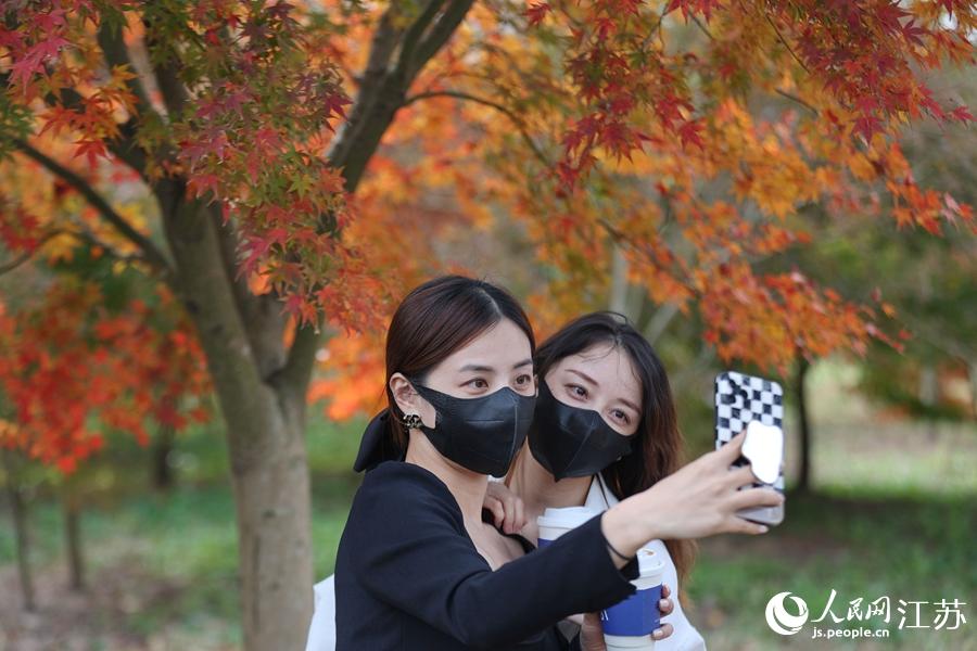 �ο��ڠN����ϼ���uצ�ʻ�����������S��܊�z