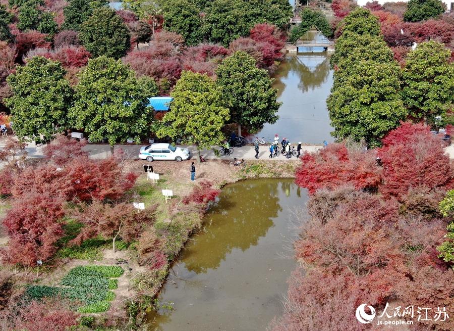 �����uצ�ʷ������ء��S��܊�z