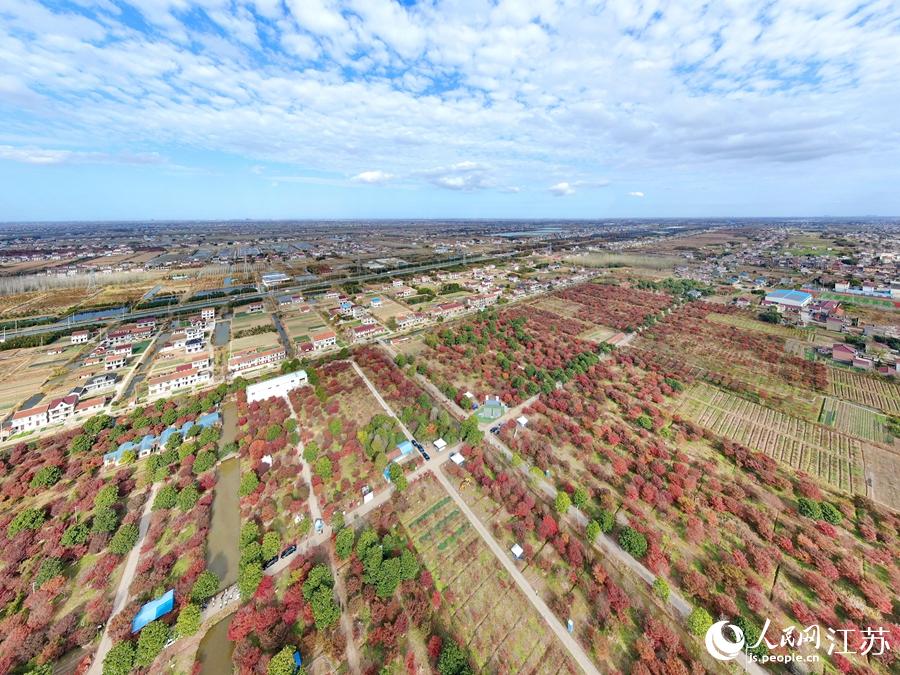 �����uצ�ʷ����������S��܊�z