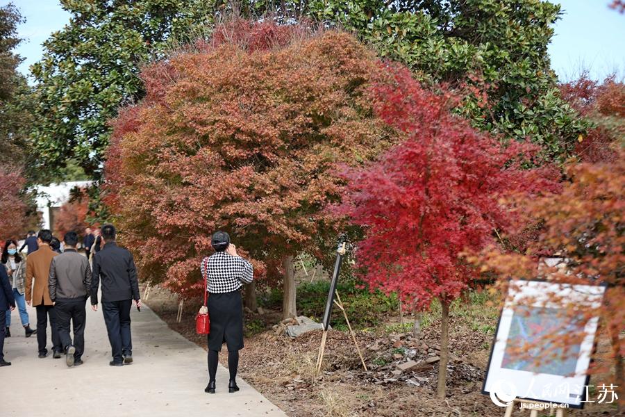 ˇ�g(sh��)�ۺ��߅��^�ʲ�ˇ�g(sh��)���S��܊�z