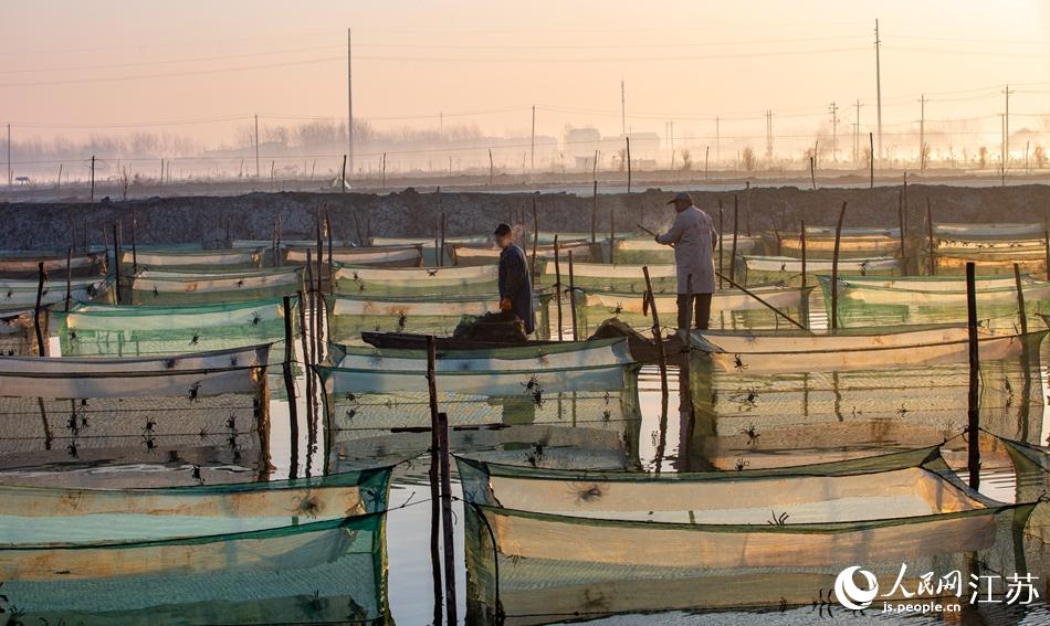 �B(y��ng)ֳ����з����æµ����єz