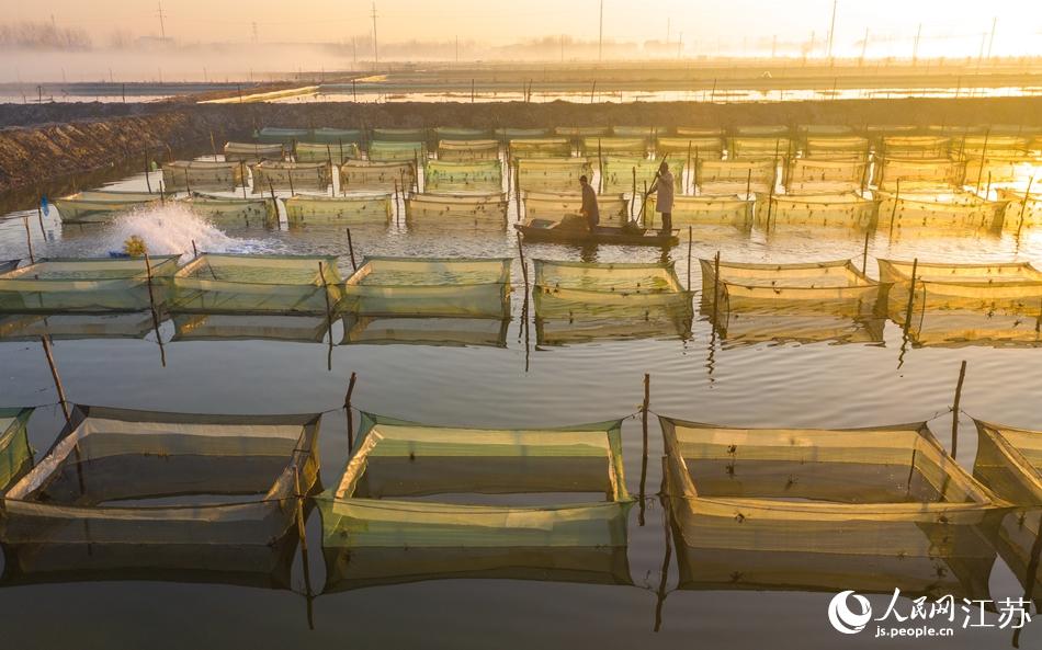 �B(y��ng)ֳ����з����æµ����єz