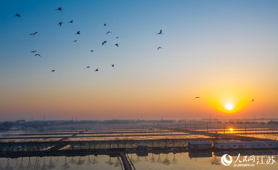 ������з���Ͽ��w�衣���z