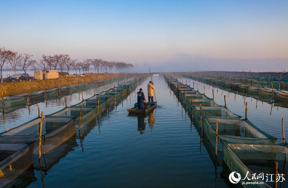 �B(y��ng)ֳ����з����Ѳ�顣��єz