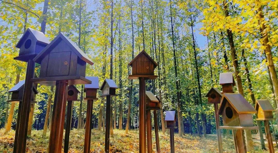 ���Kʡ����éɽ���ζȼم^(q��)����4A��(j��)���ξ��^(q��)��4��