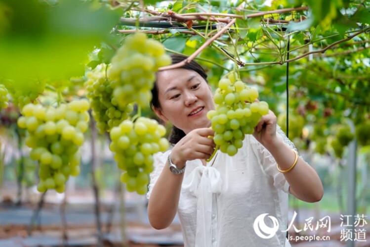 ���K����������⼱�y ����(y��u)�h(hu��n)���ٰl(f��)չ���K���ظ����T�V�_��·�ռ��������⣬������������M���Ҟ�Ⱥ���k���¡����`���������Ⱥ���ī@�øв�����������Ԕ����