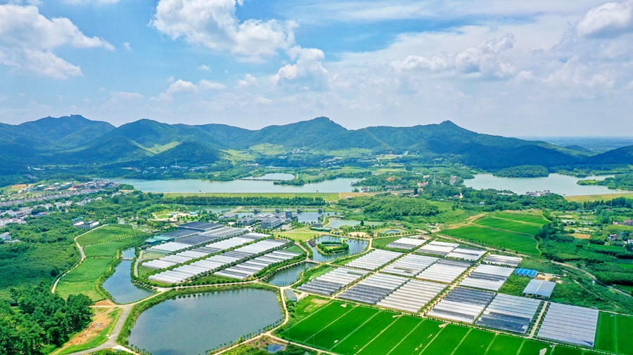 江蘇金壇茅山旅游度假區(qū)