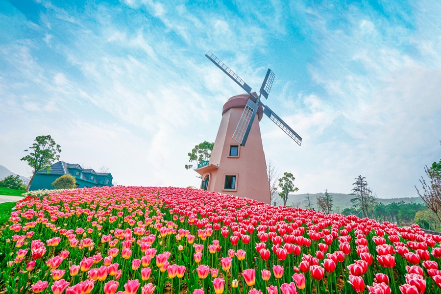 江蘇金壇茅山旅游度假區(qū)