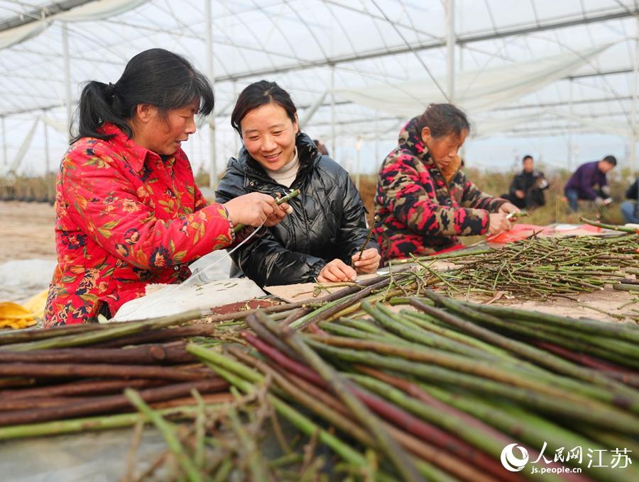 ���r(n��ng)���ڼ޽��¼��������A���z