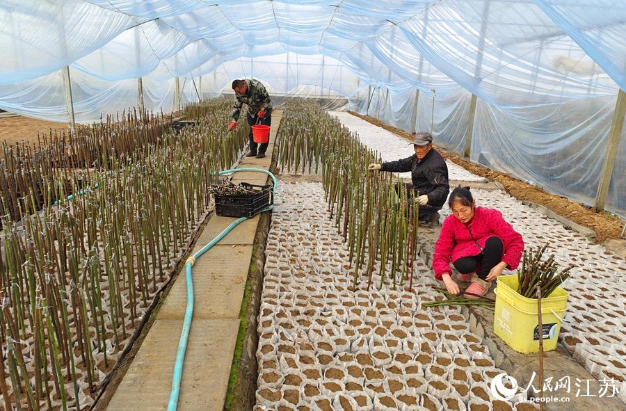 ���r(n��ng)���ڼ޽��¼��硣���A���z