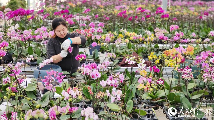 ���؆T��æ���������m�M(j��n)�нM�������A���z