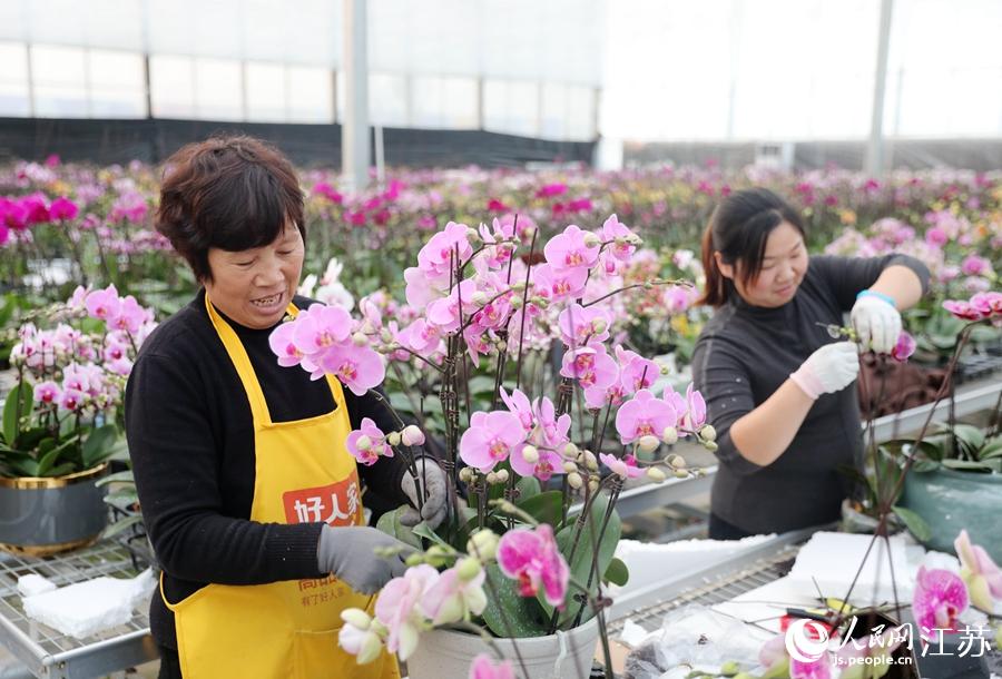 ���؆T��æ���������m�M(j��n)�нM�������A���z